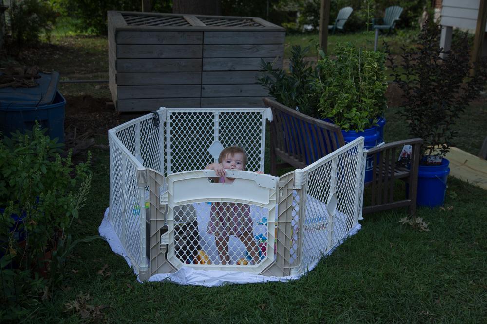 Hannah's Cage